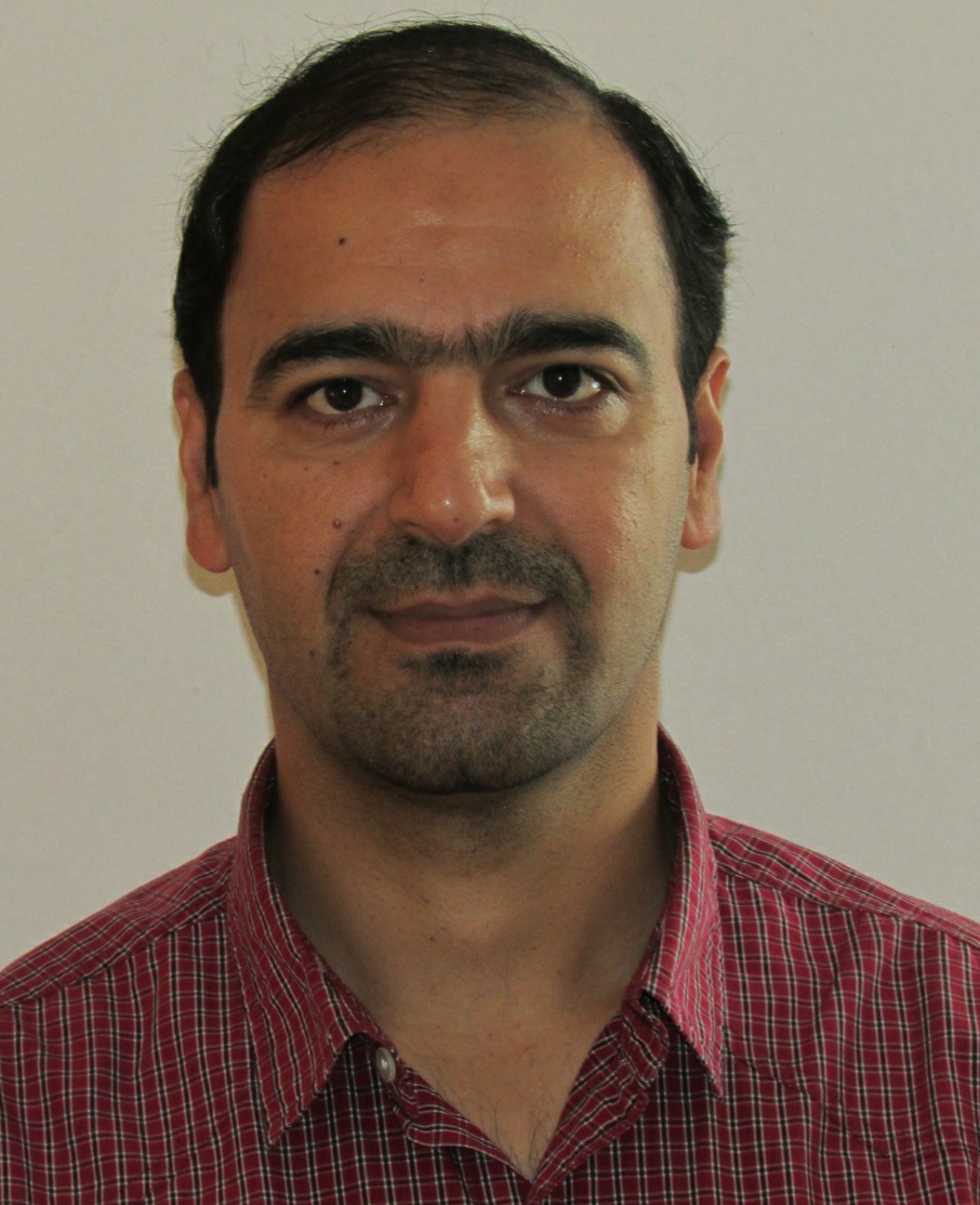 Hamzeh Karimi