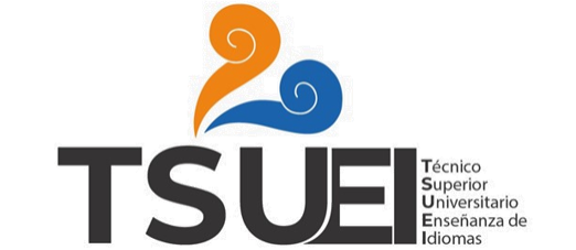 T.S.U.E.I.